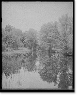 Lily pond, Mount Holyoke College, South Hadley, Mass, Antique Print