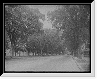 Historic Framed Print, [State Street south from Walnut, Springfield, Mass.],  17-7/8" x 21-7/8"