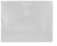 Historic Framed Print, [State Street south from Walnut, Springfield, Mass.],  17-7/8" x 21-7/8"