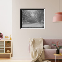 Historic Framed Print, [State Street south from Walnut, Springfield, Mass.],  17-7/8" x 21-7/8"