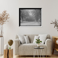 Historic Framed Print, [State Street south from Walnut, Springfield, Mass.],  17-7/8" x 21-7/8"