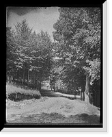 A Roadway in city park, Sault Sainte Marie, Mich, Historic Print