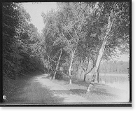 A Shady drive, Como Park, St. Paul, Minn, Antique Poster