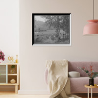 Saranac Lake, valley & birches, Adirondacks, N.Y, Historic Print