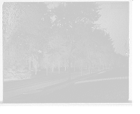 Historic Framed Print, [Walnut Avenue, Syracuse, N.Y.] - 2,  17-7/8" x 21-7/8"