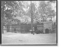 Bear pit, Belle Isle Park, Detroit, Mich, Vintage Print