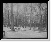 Historic Framed Print, [Picnic grounds, Long Branch Park, Syracuse, N.Y.],  17-7/8" x 21-7/8"