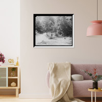 Syracuse, N.Y., Rockwell Spring, Historic Print