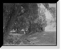 On the Rice farm near Syracuse, N.Y, Historic Print