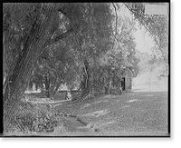 On the Rice farm near Syracuse, N.Y, Historic Print