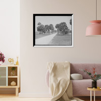 Historic Framed Print, [The Road through the golf links, Palm Beach, Fla.],  17-7/8" x 21-7/8"