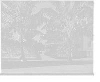 Hotel Royal Poinciana, west facade, Palm Beach, Fla, Vintage Poster