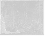 Historic Framed Print, [Mr. Hugh R. McCullough residence, a corner in the shrubbery, Lake Forest, Ill.] - 2,  17-7/8" x 21-7/8"