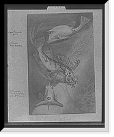 Cow trunk fish, orange sea raven, common trunk fish (front view) Classic, Antique Wall Art