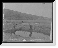 In trouble at seventh hole, Mount Pleasant golf links, Vintage Wall Art