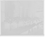 Historic Framed Print, [Exhibits, American Carnation Society Exhibition, Detroit, Mich.] - 2,  17-7/8" x 21-7/8"