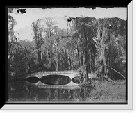 Bridge and waterfront, Magnolia Gardens, Charleston, S.C, Antique Wall Art