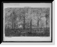 Historic Framed Print, Autumn woods,  17-7/8" x 21-7/8"