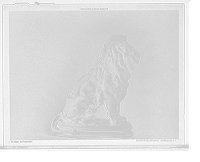 Historic Framed Print, Sitting lion,  17-7/8" x 21-7/8"