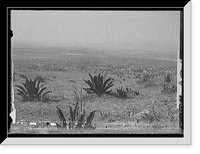 Historic Framed Print, View from the Cerro Estrella - 2,  17-7/8" x 21-7/8"