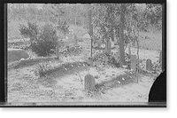 Scene in Magnolia (colored) cemetery, Aiken, S.C, Antique Print