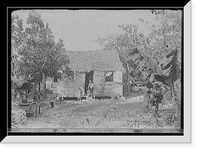 Historic Framed Print, [Thatched building and banana plant, possibly Nassau, Bahamas],  17-7/8" x 21-7/8"