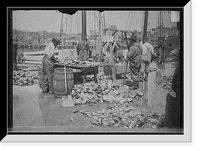 Weighing up the catch, Gloucester, Mass, Antique Poster