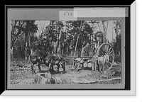 Modern methods in woods at Cadillac, Antique Wall Art