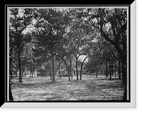 Pavilion behind trees, possibly Southern States Classic, Antique Poster