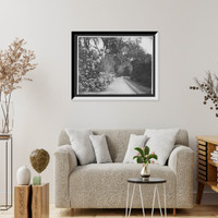 Historic Framed Print, The Slope walk, Magnolia-on-the-Ashley, [Magnolia Gardens], Charleston, S.C.,  17-7/8" x 21-7/8"