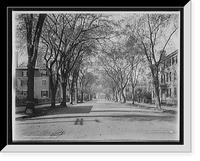 Historic Framed Print, Chestnut St., Salem, Mass. - 2,  17-7/8" x 21-7/8"