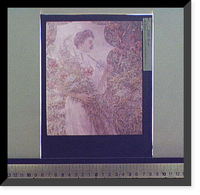 White parasol, Historic Print