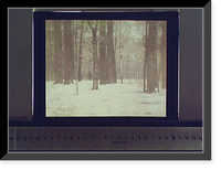 Historic Framed Print, Wood[s] in winter,  17-7/8" x 21-7/8"