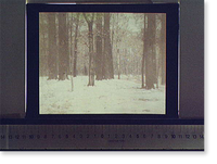 Historic Framed Print, Wood[s] in winter,  17-7/8" x 21-7/8"