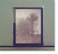 Historic Framed Print, On the borders of the marsh,  17-7/8" x 21-7/8"