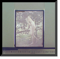 Historic Framed Print, [The Bird song],  17-7/8" x 21-7/8"