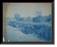 Historic Framed Print, Petrified (Tree Bridge Near Adamana, N.M. [sic]),  17-7/8" x 21-7/8"