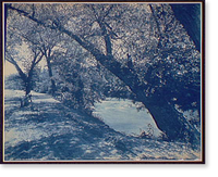 Historic Framed Print, By the Swannanoa, near Asheville, N.C.,  17-7/8" x 21-7/8"