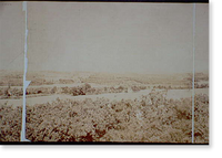 Historic Framed Print, Poland Spring From the Maine State Building - 5,  17-7/8" x 21-7/8"