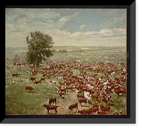Historic Framed Print, Rounding up herd - 4,  17-7/8" x 21-7/8"