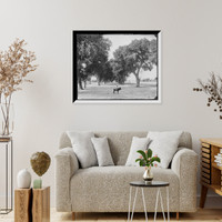 Historic Framed Print, Calle de Guadeloupe [i.e. Guadaloupe], Chihuahua,  17-7/8" x 21-7/8"