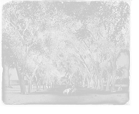 Historic Framed Print, The Calle de Guadeloupe [i.e. Guadaloupe], Chihuahua,  17-7/8" x 21-7/8"