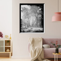 Historic Framed Print, Grove of Chapultepec, Mexico - 2,  17-7/8" x 21-7/8"