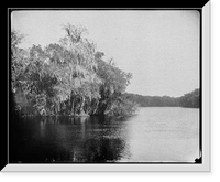 Dunn's Creek near Crescent Lake, Florida - 2, Antique Wall Art