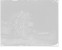 Historic Framed Print, Mansion and grounds, Mount Vernon, Va. - 2,  17-7/8" x 21-7/8"