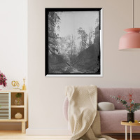 Wild Cat Canyon, Ill's. Classic, Vintage Print