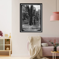 Historic Framed Print, DISTRICT OF COLUMBIA PARKS. TREE SURGERY - 2,  17-7/8" x 21-7/8"
