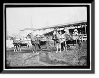 Historic Framed Print, HORSE SHOWS. CHILDREN AND PONIES - 3,  17-7/8" x 21-7/8"