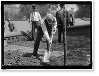 Historic Framed Print, MANN, JAMES R. REP. FROM ILLINOIS, 1897-1922. PLANTING TREE AT CAPITOL,  17-7/8" x 21-7/8"