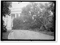 Historic Framed Print, STORM DAMAGE. FALLEN TREE ON WHITE HOUSE NORTH DRIVE,  17-7/8" x 21-7/8"